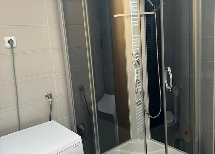 Haus Ella 公寓 诺维·维诺多尔斯基