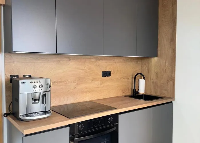 Haus Ella 公寓 诺维·维诺多尔斯基